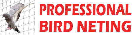 professional bird neting